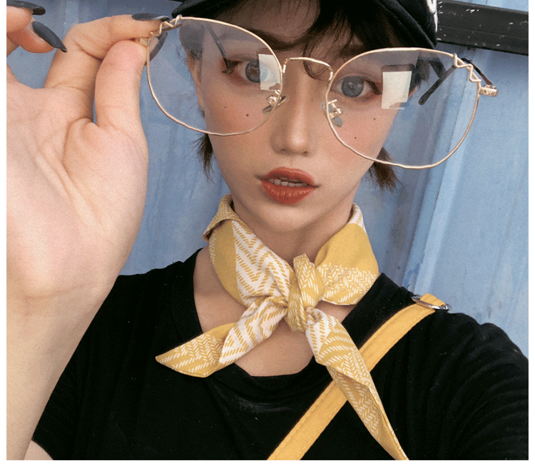Montures de lunettes en Alliage de nickel - Ref 3139856 Image 13
