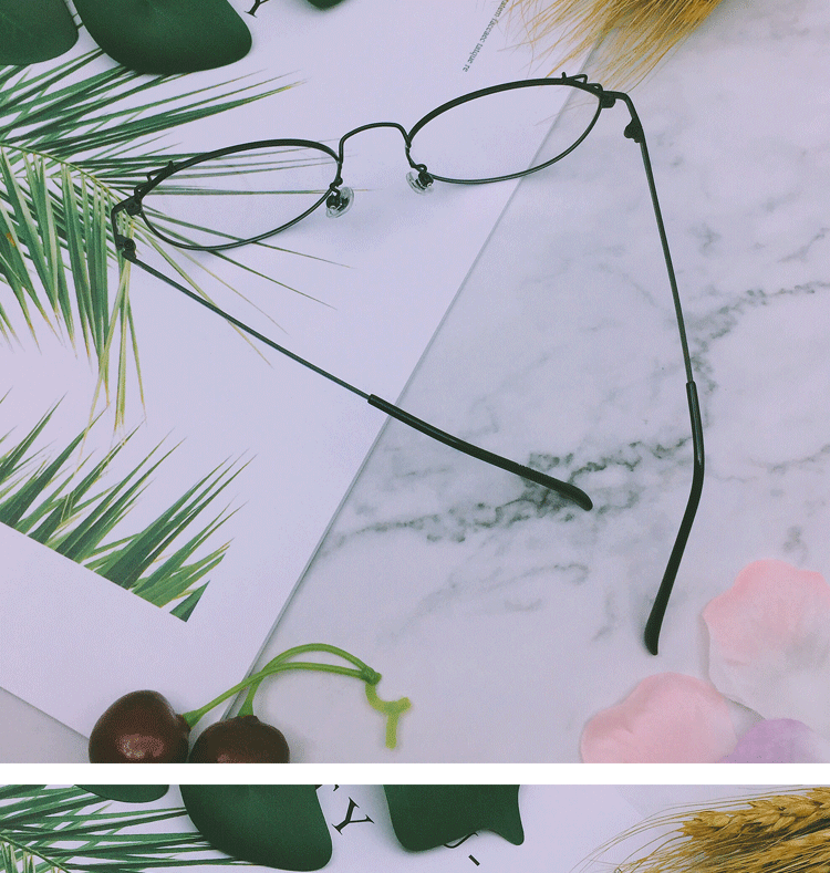 Montures de lunettes en Alliage de nickel - Ref 3139856 Image 20