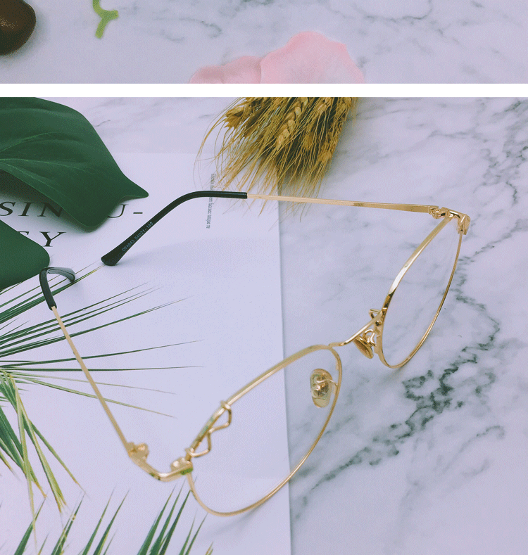 Montures de lunettes en Alliage de nickel - Ref 3139856 Image 16