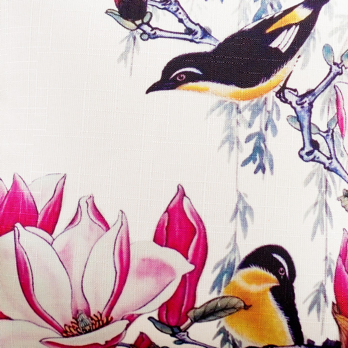 ʫ���Ứ������SFN-YYXF555