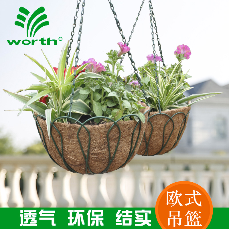 Worsch gardening natural coconut palm hanging basket flowerpot flowers green planting fleshy planting hanging basket iron hanging flower stand