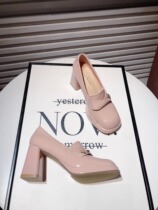 Hong Kong French square toe high heels for women 2024 spring new fashion British style genuine leather small gold coin thick heel shoes