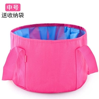 Средняя роза красная