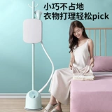 Мидиагический период домохозяйства маленький висящий пароход железо, гладило одежду, держащую гладильную машину держатель