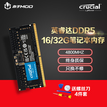CRUCIAL Spotlight Enruida DDR5 notebook memory bar 4800 16G 32G computer game running