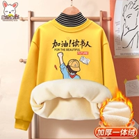 [Толстая серебряная лиса бархат] имбирь (ученый)