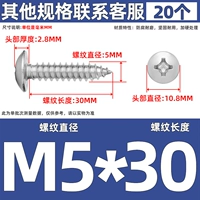 M5*30 (20)