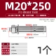 M20*250 (1)