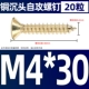 M4*30 (20)