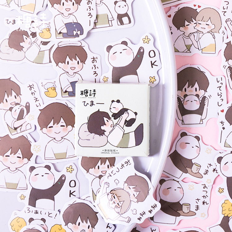 Panda teenager cartoon boy character pattern boxed sticker photo album diy decoration growth manual hand account stickers