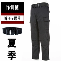 Учебные брюки (летний стиль) + пояс