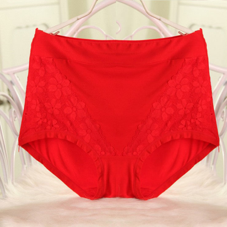 Slip en coton - Ref 644806 Image 9