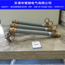 Chu melt RW12-12KV 100A 200A outdoor 10KV dropout fuse Lingke switch fuse pipe fittings