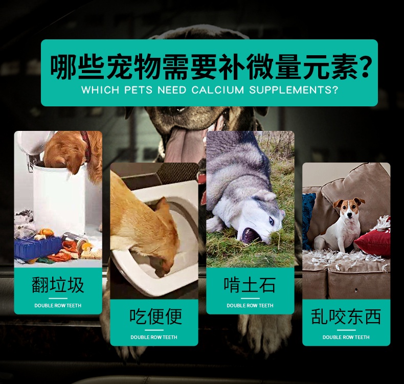 Chó 4legs nguyên tố vi lượng mèo nói chung chống ăn 屎 啃 异 异 异 犬 chó mèo viên canxi phổ quát 120g - Cat / Dog Health bổ sung sữa cho chó biếng ăn
