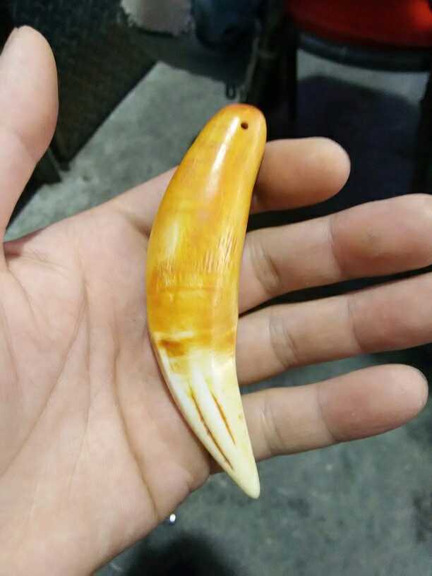 Wenwan collection imitation tiger tooth bone powder pressed animal tooth gift pendant pendant imitation big cat tooth