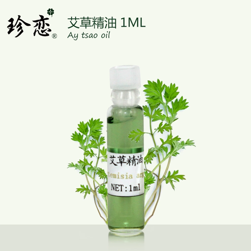 Zhen Lian nguyên chất một mặt ngải cứu tinh dầu 1ml massage toàn thân mát xa cạo dầu moxib Fir dầu thơm tự nhiên chính hãng - Tinh dầu điều trị