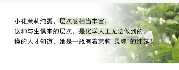 Jane tình yêu ngưng tụ hoa nhài sương tinh khiết Quảng Tây Hengxian hydrating tinh dầu thiên nhiên không chưng cất nước hoa đích thực 500ml - Tinh dầu điều trị tinh dầu kích mọc tóc