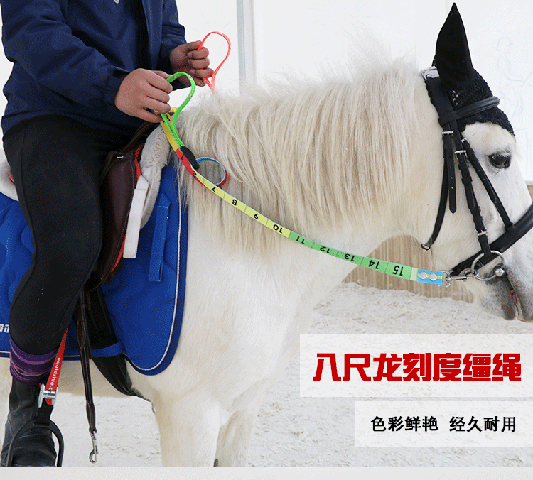 Eight feet dragon scale bridle color children's equestrian riding supplies horse equipped horse reins pony exclusive