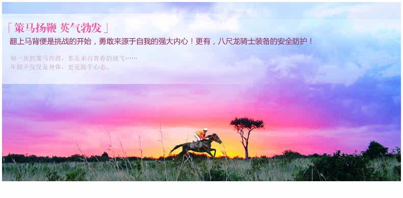 Article sports equestres BASLONG - Ref 1381254 Image 9