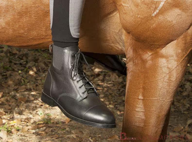 Article équitation barrières bottes BASLONG - Ref 1387408 Image 21