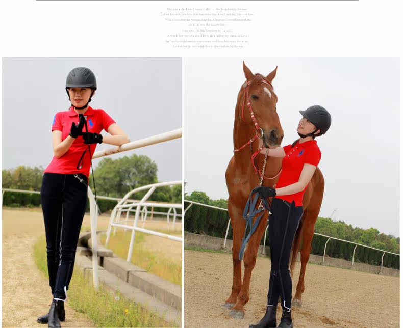 Article équitation BASLONG - Ref 1382170 Image 16