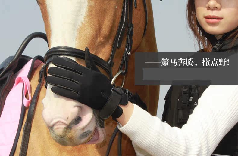 Article sports equestres BASLONG - Ref 1382664 Image 6