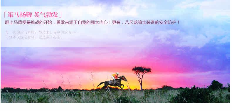 Article sports equestres BASLONG - Ref 1382014 Image 10