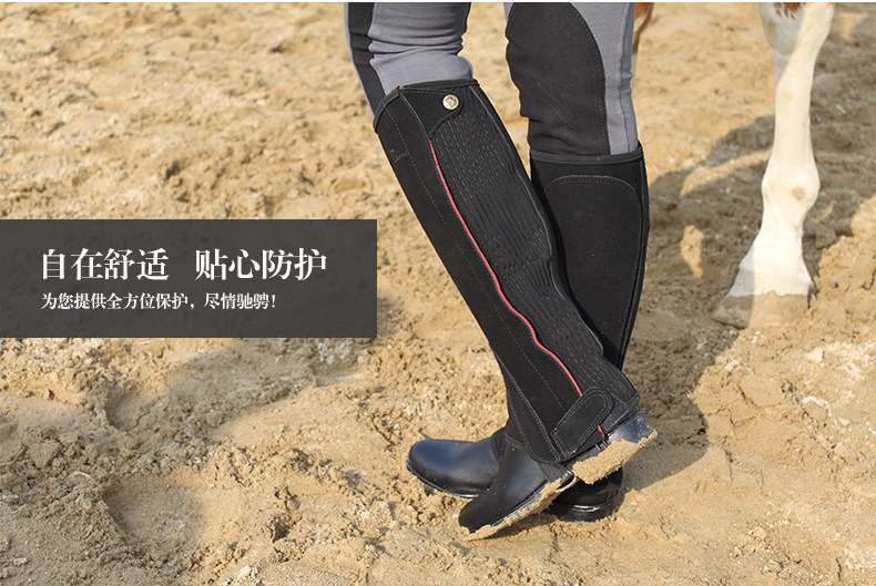 Article sports equestres BASLONG - Ref 1380784 Image 7