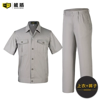 Серебряный серый коротки