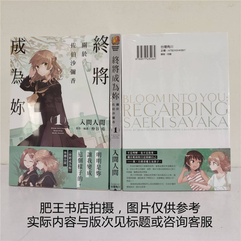 Pre-Order/Kadokawa Novels/It Will Become You: the Story of Saemiya Sawaba 1-3
