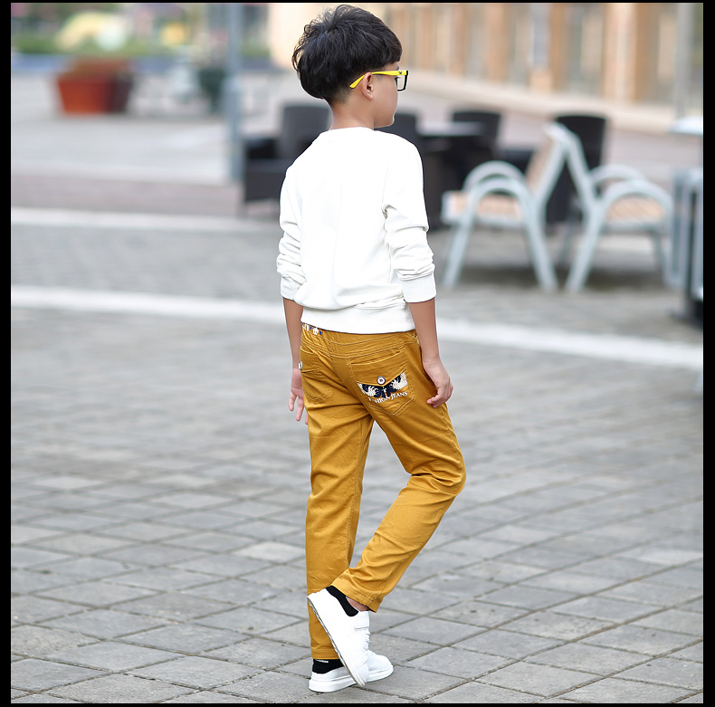 Pantalon garcon mxbn1506 en coton - Ref 2054494 Image 21