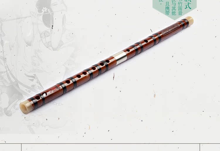 Sáo chính hãng / thử giọng Zhou Linsheng / Dong Shenghua tinh tế chơi sáo đắng / nhạc cụ sáo - Nhạc cụ dân tộc dan ti ba