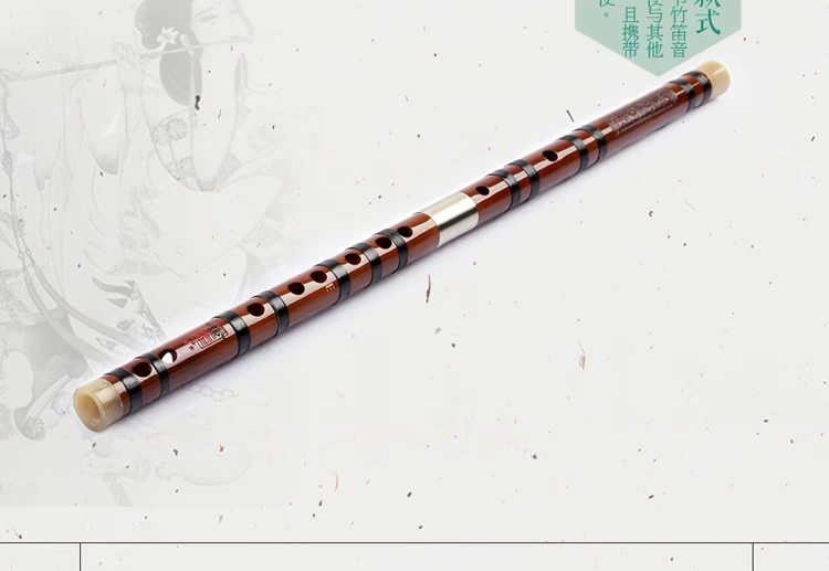 Sáo chính hãng / thử giọng Zhou Linsheng / Dong Shenghua tinh tế chơi sáo đắng / nhạc cụ sáo - Nhạc cụ dân tộc saotruc maomeo