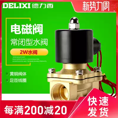 Delixi pneumatic components all-copper electromagnetic normally closed water valve 2W-160-15 2W-025 200 350