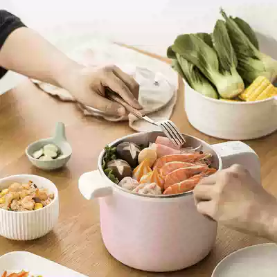 YOULG Yanglang YG4019 dormitory household instant noodle artifact small power multifunctional electric hot pot