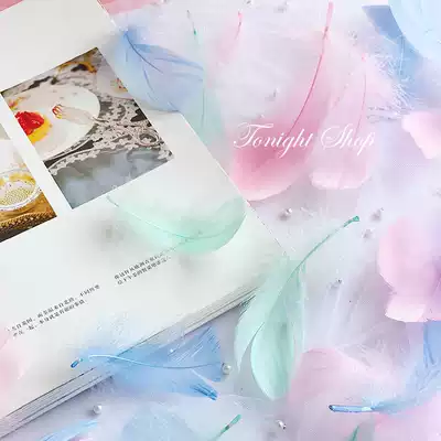 Girl heart small things chic net red decoration ins Macaron elegant feather still life jewelry swing shooting props