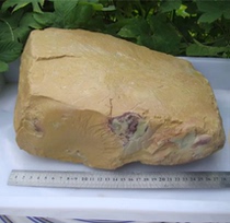 Natural Qingtian stone gold strip rough leaf wax stone wool carving rough ornamental stone Seal decoration material 10 7