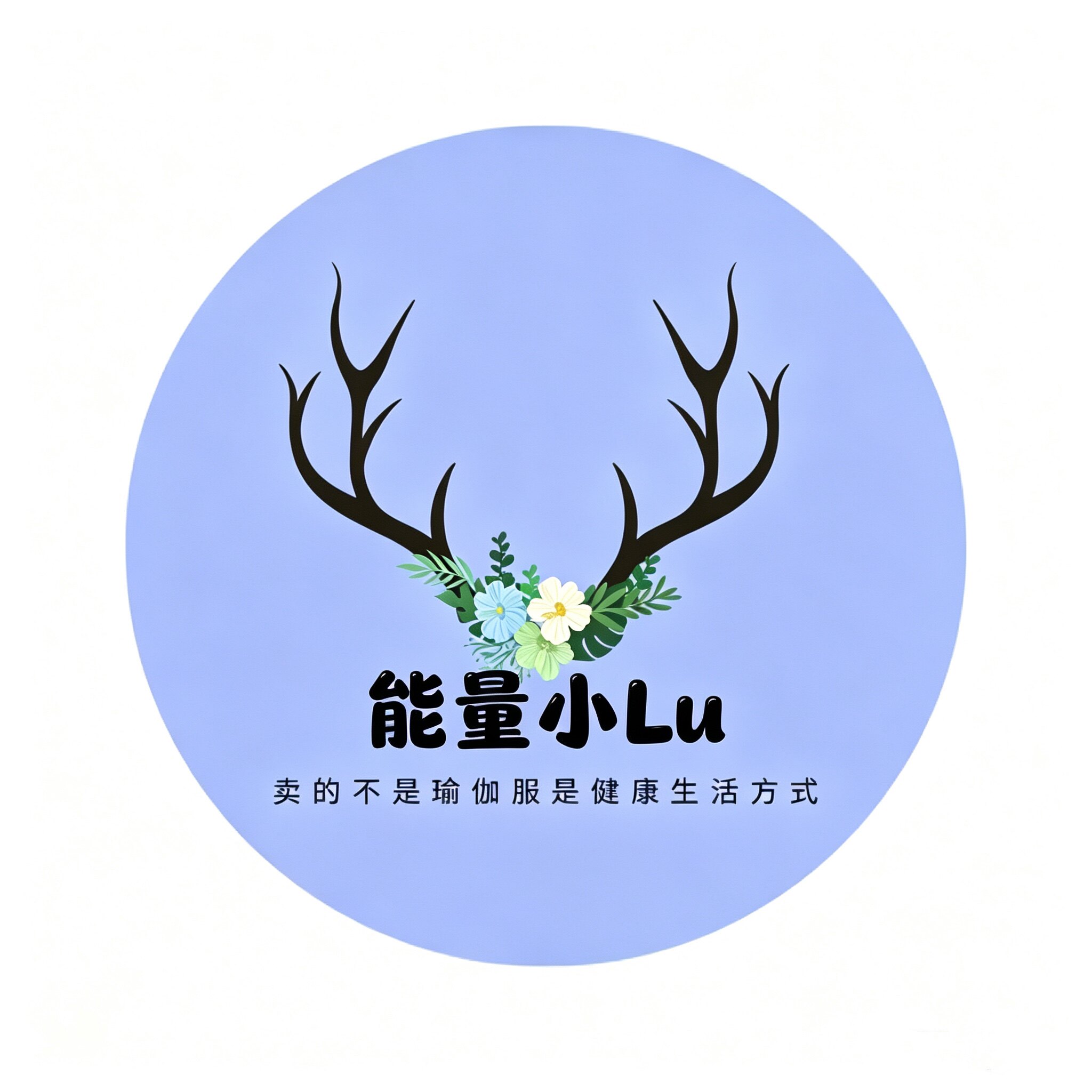 能量小Lu的小店