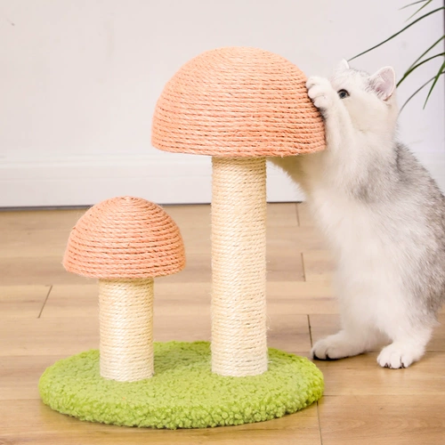Кошка, захватывающая плита, кошачий кот царапает когтя, вертикальная формула не презирает износ -резистентный кот
