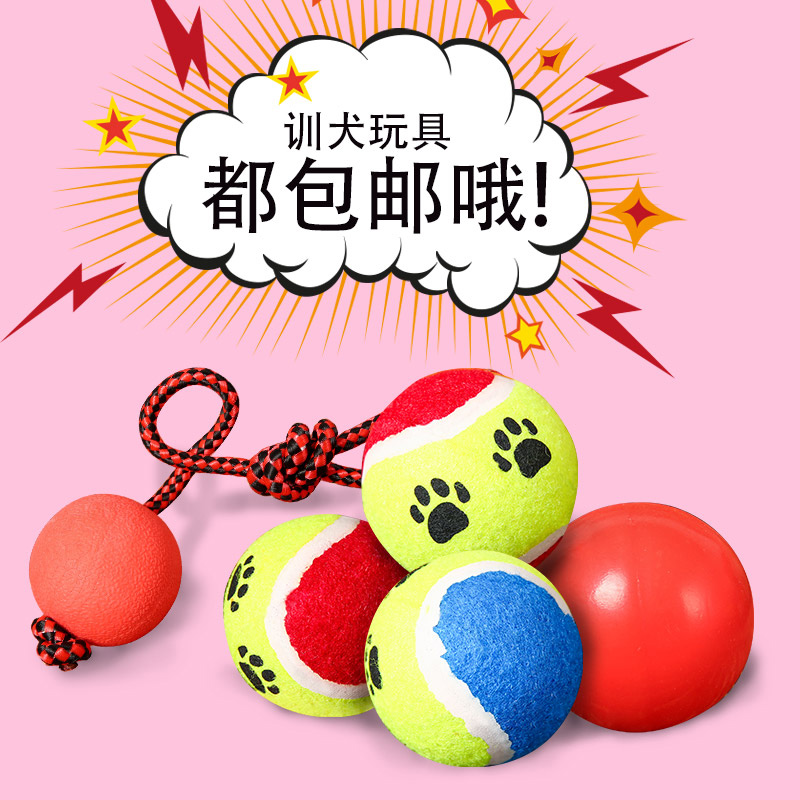 Dog Toy Ball Golden Retriever Teddy Elastic Ball Bite-resistant Teeth Tennis Pet Puppies Puppy Toys