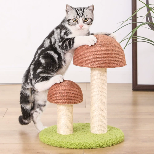 Кошка, захватывающая плита, кошачий кот царапает когтя, вертикальная формула не презирает износ -резистентный кот