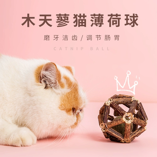 Мятный прорезыватель, мятная игрушка, кот