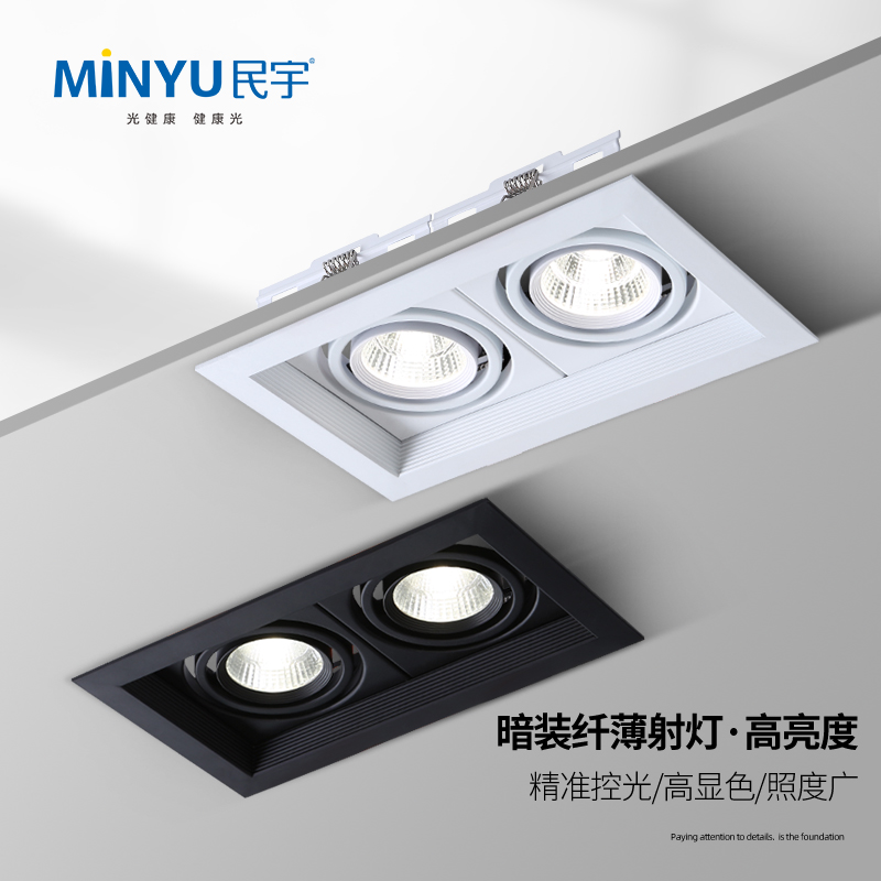 Black Spotlight Ultra thin bulk LED lamp grille bean bile double head three 10W 20 embedded single headlight