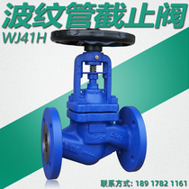  German standard bellows globe valve WJ41H high temperature steam heat conducting oil chlorine ammonia cast steel flange valve DN100