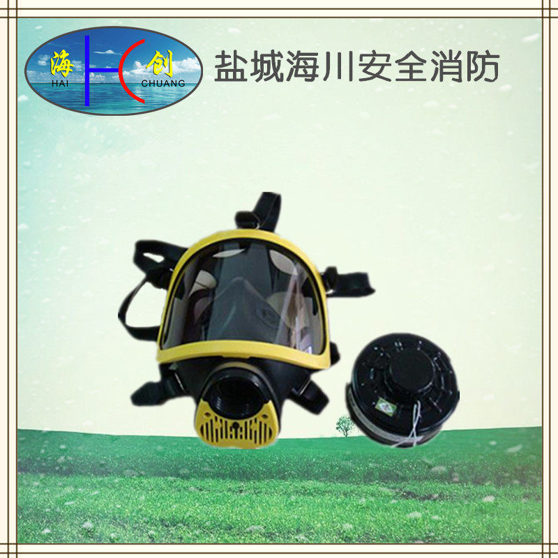 Comprehensive hood Anti-gas mask filter-type integrated multifunction single double filter cartridge gas pipe to pick up the poison tank
