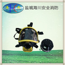 Full mask gas mask filter integrated multifunctional single and double filter cartridges with air duct connected to the canister