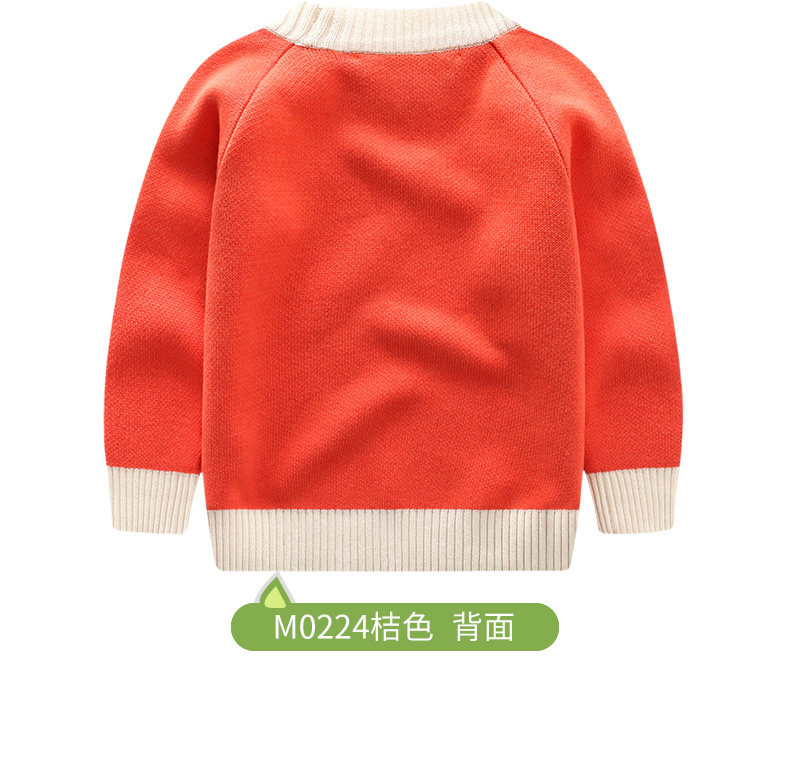 Pull enfant SINGBAIL à manche longue - Ref 2102583 Image 19