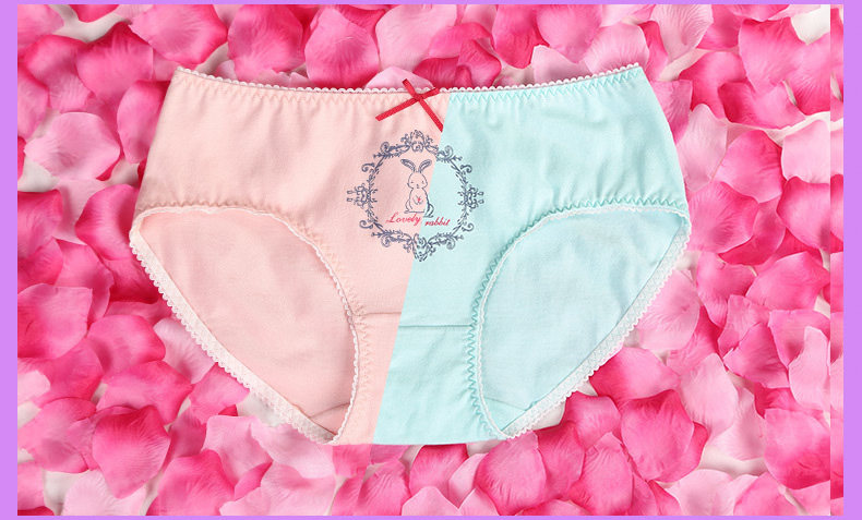 Slip jeunesse PLANDOO P216226TF-3 en coton - Ref 642647 Image 9