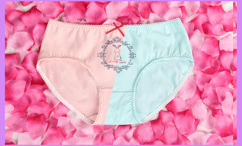 Slip jeunesse PLANDOO P216226-3 en coton - Ref 663722 Image 9