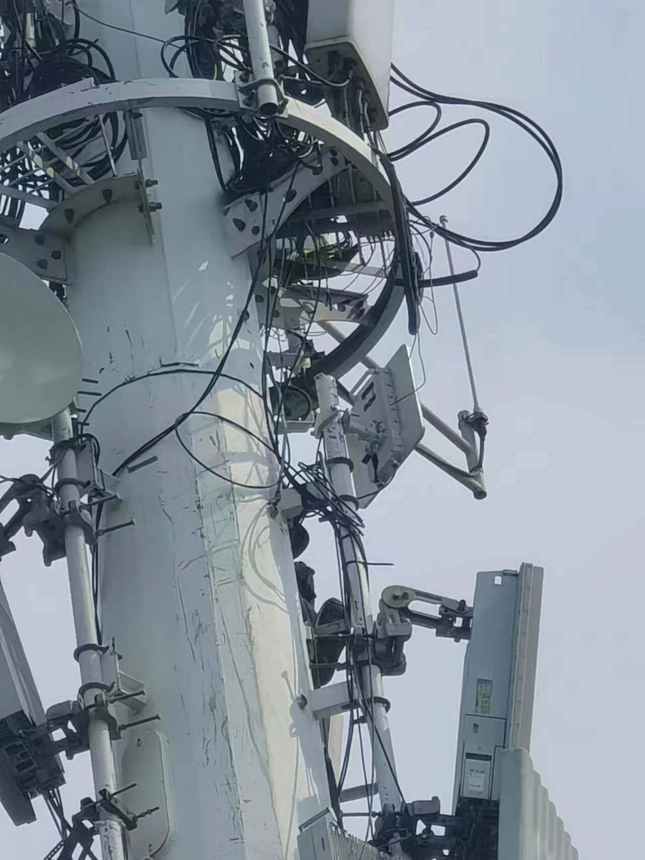Сетевой мост nft 2ac outdoor宾馆酒店学校高密度人群双频室外千兆wifi覆盖ap